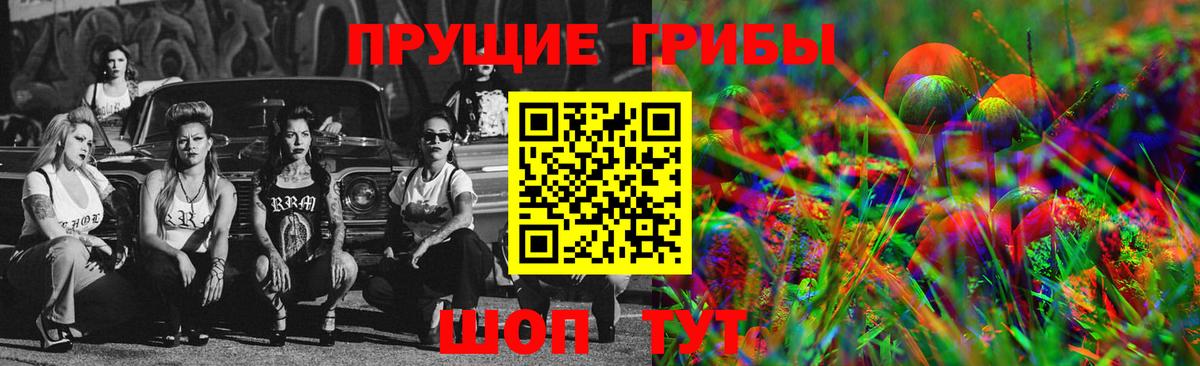 Псилоцибиновые грибы Cubensis Ишимбай